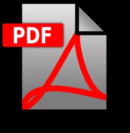 Scarica PDF